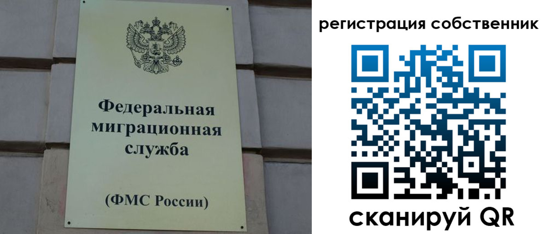 прописка гарантия в Заинске